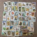 JCNL 50 Stück/Set Wildtiere, alle verschieden von vielen Ländern Keine Wiederholung mit unbenutzten Poststempel-Briefmarken zum Sammeln von M.
