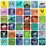 36 Paar Tiermemoryspiel mit abwischbarer Kartenrückseite zum Finden von Tierpaaren (englische Version, alle Karten im Format 5x5 cm)