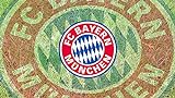 PosterHub FC Bayern München FC FC Bayern München Emblem Logo Bayern München FC Poster Matte Finish Papierdruck 30,5 x 45,7 cm (mehrfarbig) F-1556