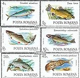 Prophila Collection Rumänien 4776-4781 (kompl.Ausg.) postfrisch ** MNH 1992 Fische (Briefmarken für Sammler) Wassertiere