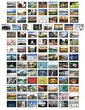 Landschaften Postkarten - 100 verschiedene Postkarten