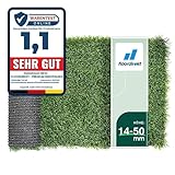 Floordirekt Premium Kunstrasen - Rasenteppich - Rollrasen - Kunststoffrasen - Garten-Rasen - Rasen für Balkon, Terrasse & Garten (Riviera (Höhe: 14mm), 100x200 cm)