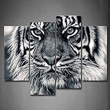 Schwarz und Weiß Brutalität Tiger mit Eye Staring und Bart Art Wand Bilder Kunstdruck auf Leinwand Tier die Bild für Home Moderne Dekoration