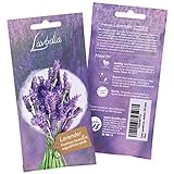 Lavendel Samen: Premium Lavendelsamen für ca. 100 duftende Lavendel Pflanzen – Lavendel Pflanze Samen, Mehrjährig – Bienen Blumen Samen von Lavodia