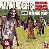 Walkers: the Eaters, Biters, and Roamers of the Walking Dead Amc 2019 Square Wall Calendar