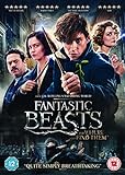 Fantastic Beasts and Where To Find Them (+ Digital Download) [2016] [DVD] UK-Import, Sprache-Englisch