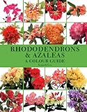 Rhododendrons & Azaleas: a Colour Guide