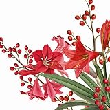 20 Servietten Weihnachten Amaryllis und Beeren als Tischdeko. Papierservietten mit Motiv. Auch für Decoupage und Serviettentechnik 33x33