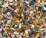 UGF - Vogelfutter Wildvögel Ganzjährig 5kg, Wildvögelfutter mit Sonnenblumenkerne, Mehlwürmer und Neun Weiteren Zutaten, Eine Einzigartige Kombination von Zutaten für die Ganzjährige Fütterung