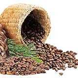 Zedernuss Pinienkerne aus Sibirien, ungeschält, 500 g