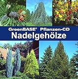 Nadelgehölze: GreenBASE-Pflanzen-CD