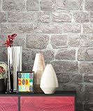 NEWROOM Steintapete Tapete grau Mauer Stein Modern Vliestapete Vlies moderne Design 3D Optik Steintapete Ziegelstein Backstein Mauerwerk Klinker Loft inkl. Tapezier Ratgeb