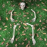 JOYIN lebensgroßes Skelett „Groundbreaker“, Skelettpfähle für Halloween, Garten-/Outdoor-Dekorationen