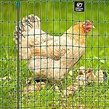 VOSS.farming Premium Hühnerzaun 112cm farmNET 50m, Hühnernetz Geflügelnetz Geflügelzaun, 16 Pfähle 2 Spitzen, Grün ohne Strom
