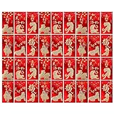 Bzwyonst 36 Stück chinesische rote Umschläge, Neujahrs-Bao-Umschläge mit klassischen chinesischen Mustern, Glücksgeld-Taschen