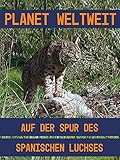 Auf der Spur des spanischen Luchses