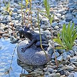 CLGarden Wasserspeier Figur Frosch auf Stein für Gartenteich Brunnenbecken Dekofigur Wasserspiel Teich