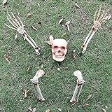HeiHeiDa Halloween Skelett Schädel Deko Realistisch Grausigkeit Begraben Lebend Skelett Schädel Garten Hof Rasen Dekos für Halloween Garten Hof Rasen Dekoration