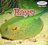 Rays (Powerkids Readers: Fun Fish)