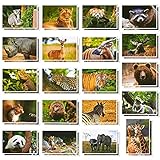 Postkarten-Set “Wilde Tiere” von Best Paper Greetings (40 Stück) - Beeindruckende Nahaufnahmen u.a. von Löwe, Panda, Zebra, Bär, Elefant, Giraffe - Als Gruß, Danksagung, Einladung - 10 cm x 15 cm