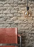 Steintapete in Beige Grau | schöne edle Tapete im Steinmauer Design | moderne 3D Optik für Wohnzimmer, Schlafzimmer oder Küche inklusive Newroom-Tapezier-Profi-Broschüre mit Tipps für perfekte Wände