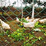 LXGKREL Geflügelnetz Hühnernetz sehr robustes Volierennetz aus 36 Fäden mit festen Knoten Masche 5 cm Geflügelzaun ohne Strom zum Raubvogelschutz ideale Ergänzung des Hühnerstalls 1.5x10m