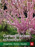 Gartenpflanzen schneiden: Ziergehölze, Hecken, Stauden (BLV Gartenpraxis)