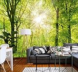 murimage Fototapete Wald 3D 274 x 254cm inklusive Kleister Bäume Sonne Wohnzimmer Schlafzimmer Küche