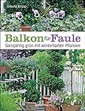Balkon für Faule: Ganzjährig grün mit winterharten Pflanzen - pflegeleicht und dauerhaft pflanzen und genießen