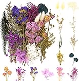 iDattel Natürliche Getrocknete Blumen,Blumen Natürliche Gemischte,DIY Natürliche Getrocknet Blumen Set für Kunst Basteln DIY Harz Scrapbooking Handwerk Karten Machen（violett）