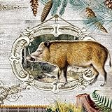 20 Servietten Wildschwein im Portrait/Tiere/Jagd/Wald 33x33cm